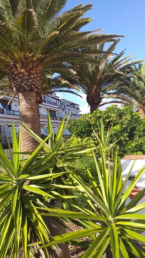 Flat Apartment Costa Del Silencio